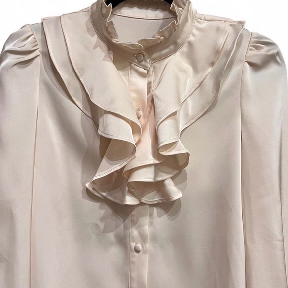 Silky Fairy Blouse NWT Classic Chic Elegant Vintage-Inspired Top S Soft-girl 90s - Picture 3 of 11